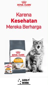 ROYAL CANIN HAIR SKIN CARE 400 gram DRYFOOD CATFOOD Makanan kucing 400gr