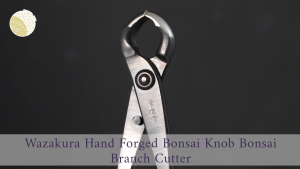 Wazakura Hand Forged Bonsai Knob Branch Cutter 210mm – Made in Japan Ergonomic Design Precision Cuts Minimal Damage Bonsai Tools & Pruning Shears