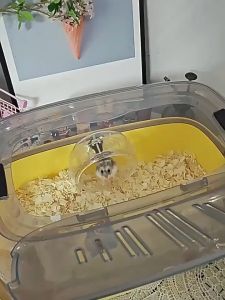 Hamster Cage With Running Wheel And Water Bottle Box Golden Wire Bear Super Large Villa Luxurious All Season Universal Acrylic Transparent Shelter Breathable Hamster Cage