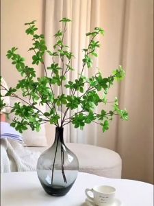 208. Nordic Minimalist Large-Bellied Glass Vase Japanese Style Hanging Clock Pieris Japonica Floral Arrangement Transparent Hydroponic Decorative Vase POT1129