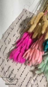 (60PCS) LAGURUS BUNNY TAIL DRIED FLOWERS IMPORT PERPACK DF28