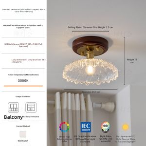 FANCY LAMP CLUB | Small Creative Hallway/Closet Ceiling Light
