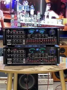 Sunbuck 5000W Power Amplifier Home Equalization Adjustment Karaoke Amplifier Bluetooth Support 12 inch speaker KTV 大水牛功放