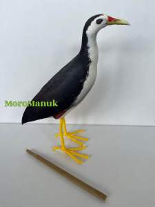 Patung Burung Truwok Kareo Padi - Jontrot burung ruak ruak