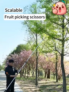 🚚[COD]🚚 gergaji pokok dahan High Branch Shears Saw 1.6/7m Gardening tool Sawing and cutting dual-use SK5 steel Sharp blade Gergaji Pokok Tinggi Gunting Dahan Pemotong Potong Pruning shears Pruning Tools