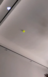 🔥พร้อมส่ง🔥ลูกบอลบีบเรืองแสง ของเล่นบรรเทาความเครียด สําหรับเด็ก Sticky ball