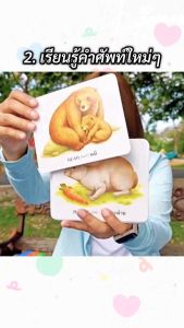 ห้องเรียน Flash Card บัตรภาพ บัตรคำศัพท์ ผลไม้ 32 ใบ ภาษาไทย - อังกฤษ, บัตรคำศัพท์ผลไม้สีสันสดใส 32 แผ่น สอนเด็กรู้จักผลไม้และคำศัพท์ทั้งภาษาไทยและอังกฤษ 3+ ขนาด 123 X 145 มม.