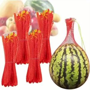 100Pc Có Thể Tái Sử Dụng Mùa Đông Dưa Bí Ngô Túi Lưới Treo Túi Nhựa Bền Đẹp Túi Đựng Rau Quả Trong Vườn Để Trồng Trọt Trong Nhà Kính