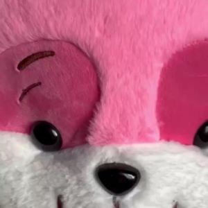 Gấu bông mèo hồng cute dễ thương thú nhồi bông chó xinh xắn