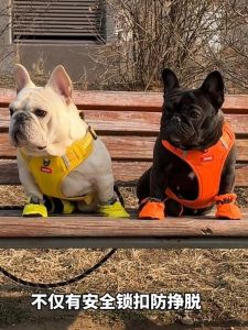 เสื้อกั๊กผูกเชือกเดินเลี้ยงสุนัขแบบปรับได้สำหรับสุนัขขนาดกลาง สายเดี่ยวสำหรับเลี้ยงสุนัขฝรั่งเศส สายเดี่ยวแบบป้องกันการระเบิด