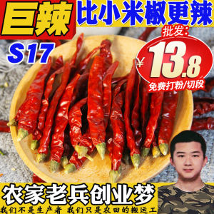 Super Spicy MilletPepper Little Devil Pepper Hot Spicy Bhut Jolokia Spicy Super Spicy Small Dry Red Chilli Dry Chili Segment/Powder 50G