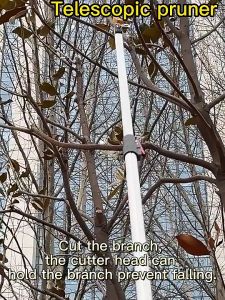 High Altitude Branch Scissors Telescopic Fruit Tree Pruning Saw Pruner Garden Trimmer Tree Branch Cutter with Pole Garden Tools Fruit Picker