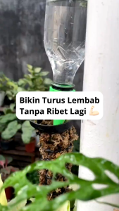 Drip Tetes Irigasi Otomatis Untuk Tanaman hias (per 3 pcs)