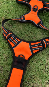 Đai yếm ngực cho Chó có đệm phản quang cao cấp - Love Pets Shop