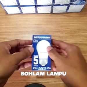 Bohlam LED MITSUYAMA PREMIER & BULB QUANTUM: Pemilihan dan Penggunaan