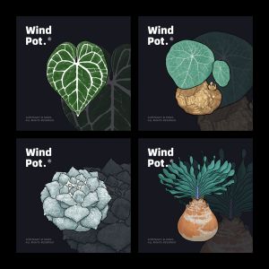 Original WindPot Butterfly Orchid Fridge Magnet Creative Hot Plant Magnetic Tile Block Root Flower Pot for Balcony Window Wall