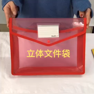 A4 Plastic Wallets File Popper Wallet Plastic Document Folder Pockets Files Envelope School Office Hospital Tuition Seminar Meeting Large Capacity