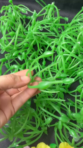 Sét 100gr chùm nhựa gắn hoa mai hoa đào hoa vải trang trí Tết - decal các loại hoa lụa