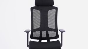 Ergoseat (356A) Ergonomic Home Office Chair C-Curved High Back Computer Chair - Include Delivery
