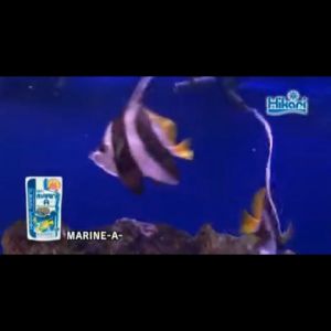 Hikari Saltwater Fish Food for Healthy Growth