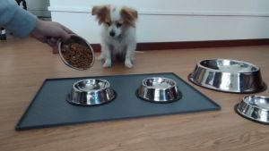 Dog Bowl Pet Dog Cat Thick Stainless Steel Non-slip Feeding Bowl Pet Water bowl Dog Food Bowl