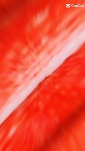 Thanh Chả Hương Cua 24v Gói 500gr - Hàng Lichuan