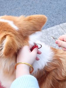 Dây dắt Chó Mèo tự động thu vào (tệp giấy) mẫu mới - Hara Pet Store