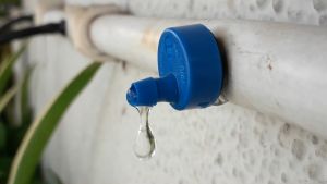 RainBird Online Emiter Dripper 2L/H PCJ Water Flow Controller Pressure Compensating [10pieces]