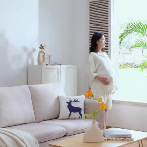 Baby  Detector Fetal Doppler Heartbeat Detector Baby Heartbeat Monitor Fetal Movement Household Radiation-Free