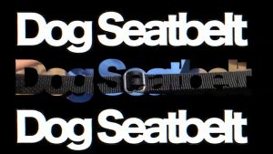Dog Car Seatbelt Dog Seat Belt Cat Seat Belt Dog Safety Belt Pet Car Seatbelt Dog Car Seat Belt 狗安全带