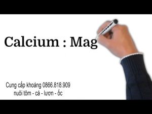 Bột Khoáng Mix DCP Nuôi Tôm Cá Lươn Ốc