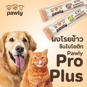 อาหารเเมว Pro Plus ผงพรีไบโอติกและโปรไบโอติก สำหรับแมว เสริมภูมิคุ้มกัน ปรับสมดุลทางเดินอาหาร 1 กล่อง