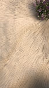 Kamus Nama Indah untuk Putra & Putri Tercinta dari Berbagai Bahasa Dunia Penerbit Agung Media