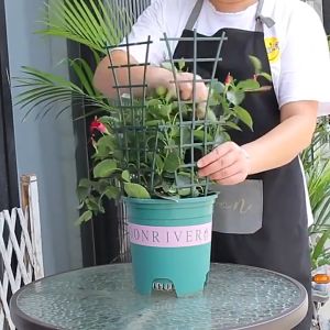 2/4Pack Small Plant Support Stakes Bracket Plastic Flower Plant Support Pile Frame Climbing Bracket Fixing Rod Flower Gardening Plant Climbing Frame Gardening Bonsai Tool Rack