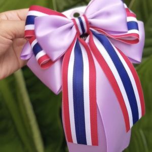 เน็ตผม 6"X7"  กิ๊บติดผม ผู้หญิง ผ้าซาติน ลายธงชาติ งานสวย แม่ค้าทำเอง มีหลายสี