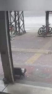 ✅ไล่สุนัขป่าไป✅เครื่องไล่สุนัข ระยะหวังผล1-9เมตร ไม่มีอันตรายต่อสุนัข การฝึกสุนัขแบบมืออาชีพ การรบกวนด้ว อัลตราโซนิก ไล่ไปในหนึ่งวินาที เครื่องไล่สุนัขอัลตราโซนิก เครื่องไล่สุนัขแบบพกพา โดยไ เครื่องไล่สุนัขล้ำเสียง เครื่องไล่สุนัขสัตว์เลี้ยง ไล่สุนัข