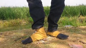 Sepatu Sawah Untuk Petani Muda