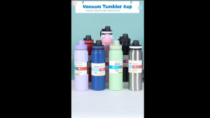 Tumbler Hot and Cold Vacuum Insulated Stainless Steel with Spout Lid Double Wall Thermos