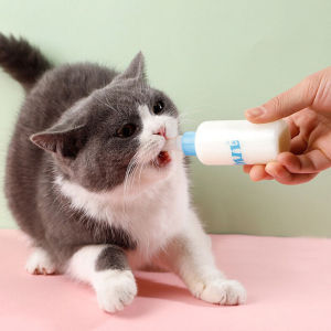 Pet Feeding Bottle Set for Puppies Puppy Dog Kitten Cat Kittens pup Rabbit Nursing Milk Water Bottle