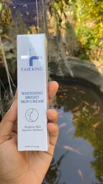 Fair King Fracle Cream Whitening Bright Skin Penghilang Komedo dan Flek Hitam Glowing Alami 20 Gram Lazada Indonesia