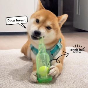 Petone dOrage | Squeaky Floating Rubber Tennis Chew Toy for Dogs