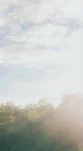 Herbal Teh Seduh Daun Ungu 40 gram Curah Daun Ungu Kering Organik Untuk Atasi Wasir Ambeien Melancarkan BAB