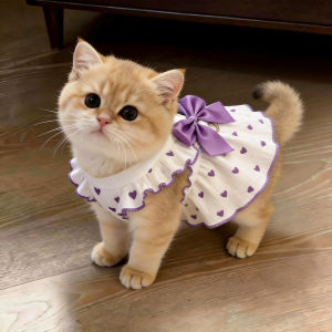 Petone dOrage | Summer Lightweight Sweet Dress Pet Clothes