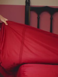 shui yang | Bộ Đồ Chăn Ga Gối Cao Cấp Dành Cho Cô Dâu Bằng Cotton Sợi Dài 4 Món