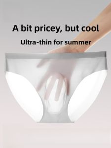 MiiOW | Lightweight Breathable Ice Silk Briefs Mens Underwear Quick Dry Comfortable Seamless Triangle Shorts MiiOW Cat Person