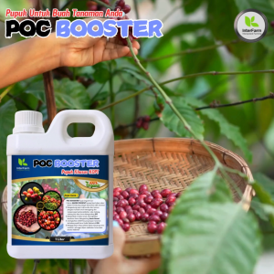 INTERFARM POC BOOSTER - Pupuk Organik Cair Pelebat Buah Kopi Berkualitas Tinggi