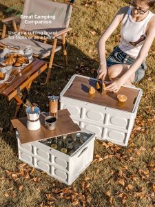 EUSSUE | Portable Insulated Picnic Basket