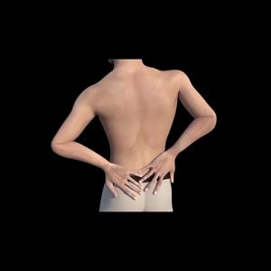 Adjustable Ultra Thin Back Lumbar Support Belt Medical Waist Orthopedic Brace Spine Relaxed Decompression Anti-skid Breathable