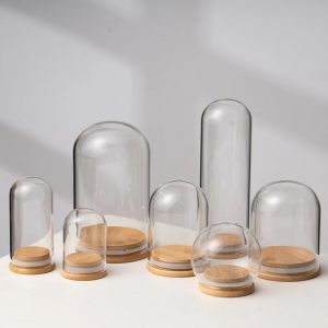 Eternal Flower Glass Cover DIY Creative Decorative Piece Dustproof Cover Bamboo Pine Wood Joint Seal Base Display Box