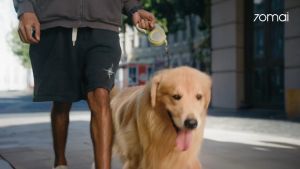 70mai A200 Dashcam 1080P Dual Channel Full HD+HDR 24H Parking Surveillance 2-Inch LED Screen DashCam